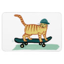 Recherche de coche magnets Drôle