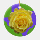 Recherche de rose jaune du texas État