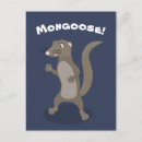 Recherche de mangouste posters Animal