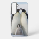 Recherche de dehors coques Pingouin