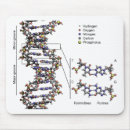 Recherche de adn tapis souris Dna