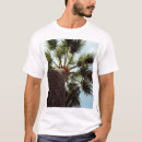 Recherche de palmtrees Arbre