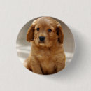 Recherche de marionnettes badges Chien
