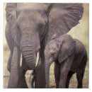 Recherche de la tanzanie carreaux Nature