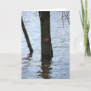 Recherche de inondations vœux cartes Amour