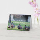 Recherche de dindon cartes postales Fête