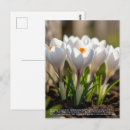 Recherche de symbolism cartes postales Toute personne