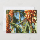 Recherche de chine vœux cartes Photographie