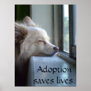 Recherche de adoptez posters Adoptez un animal familier