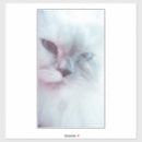 Recherche de furieux autocollants Animal