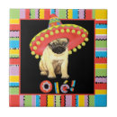 Recherche de de carlin carreaux Chiot