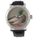 Recherche de duck watches Oiseau