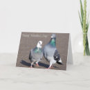Recherche de deux colombes vœux cartes Pigeons
