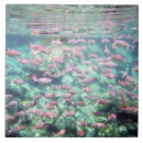 Recherche de poissons tropicaux carreaux Sous l'eau