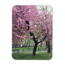 Recherche de fleurs roses magnets Cerise