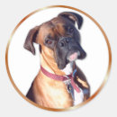 Recherche de boxeur autocollants Portrait