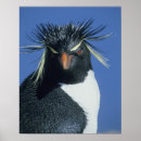 Recherche de hope posters Animal