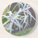 Recherche de parfum dessous de verres Violet