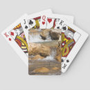 Recherche de flux jeux de cartes Nature