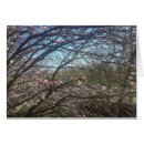 Recherche de branches de magnolia Beau