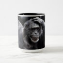Recherche de chimpanzés tasses Gorille
