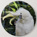 Recherche de poitrine badges Photographie de la nature