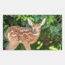 Recherche de cerf de virginie autocollants Faune