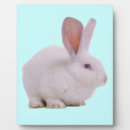 Recherche de lapins plaques Kawaii