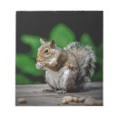 Recherche de écureuils blocsnotes Animal