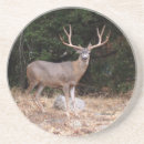 Recherche de buck dessous de verres Animal