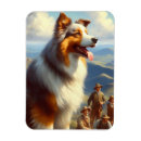 Recherche de berger australien magnets Chiot