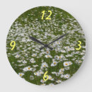 Recherche de marguerite blanche horloges Nature
