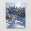 Recherche de froid cartes postales Plein air