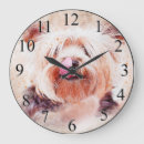 Recherche de shih tzu horloges Animaux