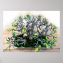 Recherche de bonsaï posters Nature