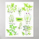 Recherche de décor de cuisine posters Herbe