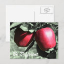 Recherche de différent cartes postales Fruit