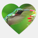Recherche de colibri vert autocollants Coloré