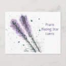 Recherche de prairies cartes postales Fleur sauvage