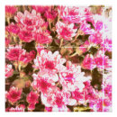 Recherche de motif botanique posters Toute personne