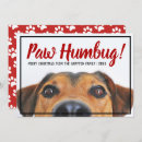 Recherche de humbug christmas vœux cartes Mignon