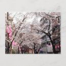 Recherche de fleur de sakura cartes postales Pour eux