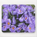 Recherche de crocus tapis souris Fleur