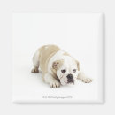 Recherche de solitude magnets Nature