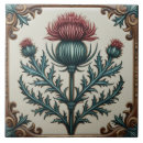 Recherche de chardon carreaux Botanique