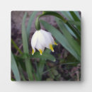 Recherche de flèche plaques Floral