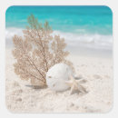 Recherche de oursin autocollants Dollar de sable