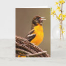Recherche de baltimore vœux cartes Oiseau