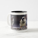 Recherche de moineau tasses Plumes
