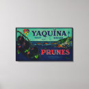 Recherche de pruneaux Fruit